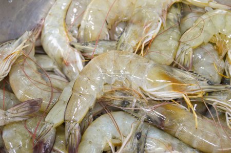 Foto de Fresh shrimp, seafood It is an economic animal that is widely popular. All countries consume - Imagen libre de derechos