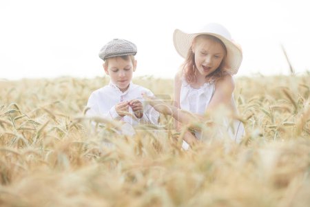 Téléchargez les photos : Portrait de garçon et fille heureux dans des chapeaux debout dans le champ de blé - en image libre de droit