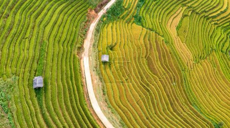 Reisfelder auf Terrassen von Mu Cang Chai, Yenbai, Vietnam. Reisfelder bereiten die Ernte im Nordwesten Vietnams vor.