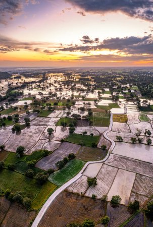 Foto de Los campos de arroz Ta Pa son hermosos por la mañana, intercalados con hermosos y pacíficos jaggery árboles en el delta fronterizo de Vietnam - Imagen libre de derechos