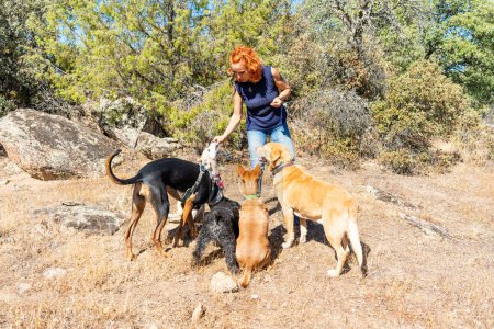 Mujer caucásica rodeada de perros mientras les da golosinas comestibles durante un trekking en la montaña
