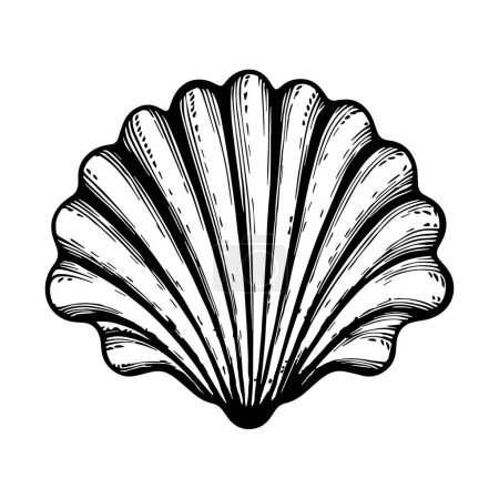 Illustration of sea shell in engraving style. Vector.