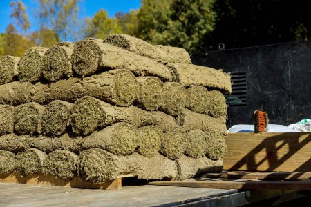 Photo for Boom truck unloading green grass turf rolls in rolls that is on pallets - Royalty Free Image