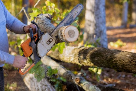 Foto de El hombre está cortando árboles con motosierra mientras despeja el bosque para la construcción de una nueva casa - Imagen libre de derechos