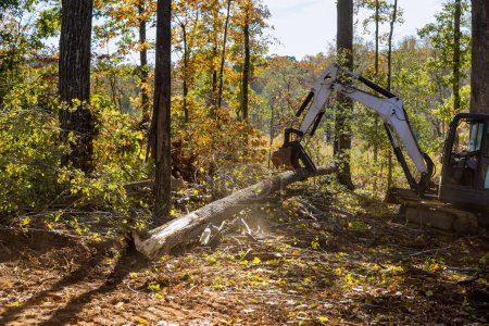 Téléchargez les photos : Travaux d'aménagement paysager visant à défricher les racines des terres dans le cadre du lotissement du développement résidentiel, à l'aide de tracteurs à glissière. - en image libre de droit