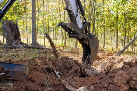 Téléchargez les photos : Pendant les travaux d'aménagement paysager de déforestation dans le cadre de la préparation des terres pour la construction, est utilisé tracteur pour travailler avec des racines d'enlèvement. - en image libre de droit