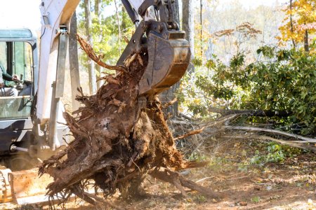 Während der Entwaldung wird mit dem Traktor der Boden für den Landschaftsbau vorbereitet, während für Bauzwecke Wurzeln aus dem Boden entfernt werden.
