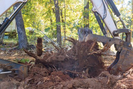 Tractor se utilizó la preparación de la tierra durante el trabajo de paisajismo deforestación para eliminar las raíces del sitio que se utilizaría para la construcción