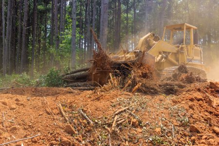Téléchargez les photos : Travailler avec tracteur pendant le déboisement aménagement paysager pour la préparation du chantier de construction avec enlèvement des racines - en image libre de droit