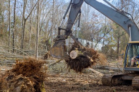 Téléchargez les photos : Les racines des souches ont été enlevées des arbres qui avaient été abattus par rétrocaveuse tracteur dans le cadre du défrichage des terres pour la construction de maisons - en image libre de droit