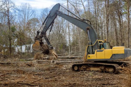 Foto de La eliminación de las raíces de los troncos de los árboles que fueron cortados para limpiar la tierra para la construcción de viviendas se hizo con retroexcavadora tractor. - Imagen libre de derechos
