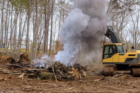 Foto de Un bosque desarraigado está siendo quemado en el sitio de construcción con el propósito de construir casas - Imagen libre de derechos