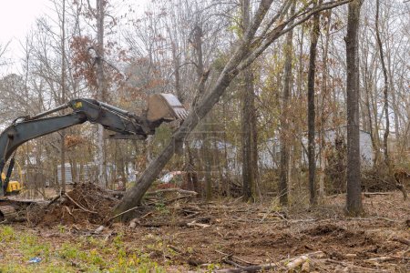 On construction site, tractor skid steers were used to clear uprooted trees from land so that subdivision of housing development could be completed.