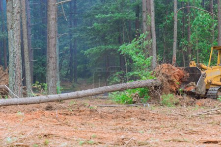 Construction process involved use of tractor skid steers to uproot trees make way for development subdivision requiring clearing land