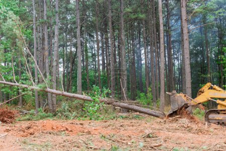 Foto de Construction process involved use tractor skid to clear land of uprooted trees in preparation for development subdivision - Imagen libre de derechos