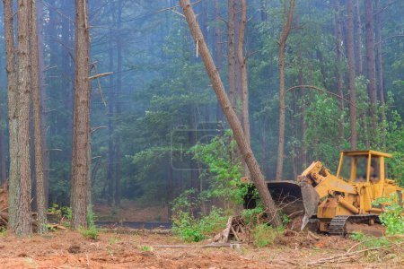 Tractor skid steer was used during construction process in order to remove uprooted trees from land in preparation for subdivision development