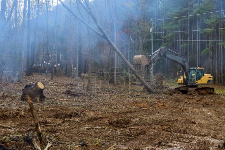 Téléchargez les photos : Travailleur utilise excavatrice pour déraciner les arbres dans la forêt préparer le terrain pour la maison. - en image libre de droit