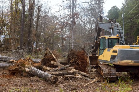 Téléchargez les photos : Travailleur déracine des arbres dans la forêt avec excavatrice pour faire de l'espace pour la maison. - en image libre de droit