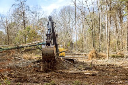 Téléchargez les photos : Avec l'aide d'une excavatrice, le travailleur retire les arbres de la forêt pour créer un chantier.. - en image libre de droit