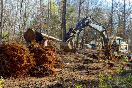 Téléchargez les photos : Travailleur déracine les arbres dans la forêt à l'aide d'une excavatrice, préparer le terrain pour la construction de la maison - en image libre de droit