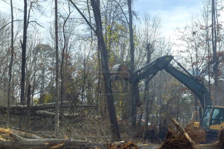 Téléchargez les photos : Travailleur préparer le terrain pour la construction de la maison avec l'aide d'une excavatrice est de déraciner les arbres dans la forêt - en image libre de droit