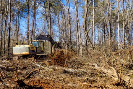 Téléchargez les photos : Un travailleur déracine des arbres dans la forêt à l'aide d'une excavatrice en préparation de la construction d'une maison - en image libre de droit