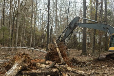 Téléchargez les photos : Utiliser une excavatrice prépare le terrain en déracinant des arbres pour construire une maison. - en image libre de droit