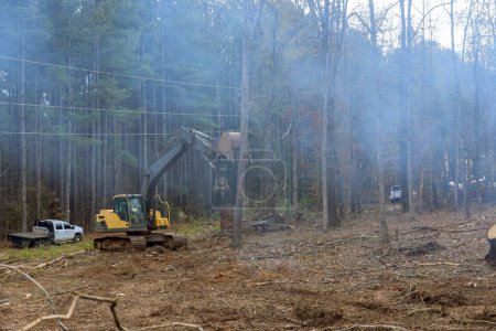 Téléchargez les photos : Le sol est en préparation pour la maison avec l'aide d'une excavatrice qui déracine les arbres dans la forêt. - en image libre de droit