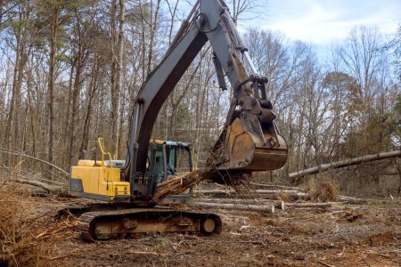 Téléchargez les photos : Travailleur pour déraciner les arbres dans la forêt, en utilisant une excavatrice pour préparer le terrain pour la construction de la maison. - en image libre de droit