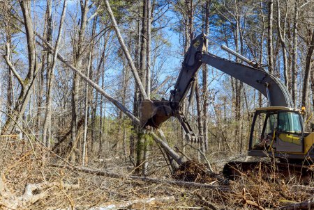 Téléchargez les photos : Utilisation d'une excavatrice déracine les arbres qui poussent dans la forêt, préparer le terrain sur lequel construire une maison - en image libre de droit