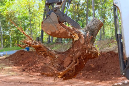 Téléchargez les photos : Logement construction complexe défrichement des terres en enlevant les racines avec tracteur à barre de dérapage - en image libre de droit