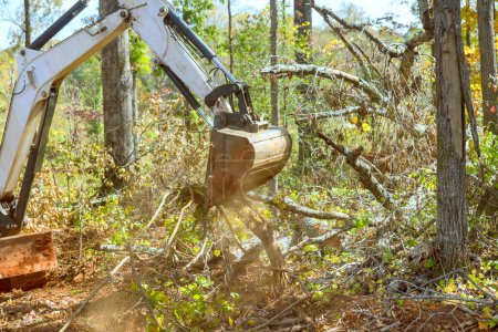 Téléchargez les photos : Défrichage des terrains pour enlever les racines pour la construction de complexes résidentiels à l'aide d'un tracteur Skid Steer - en image libre de droit