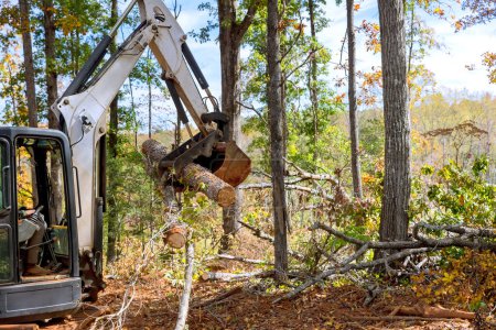 Téléchargez les photos : Construction d'un complexe d'habitations, arbres défrichés pendant le terrain avec dérapage tracteur - en image libre de droit