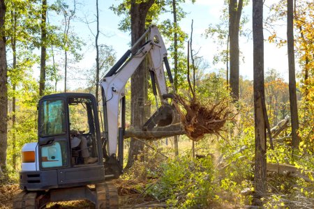 Tractor skid steer clearing land from roots for being prepared for construction housing development complex