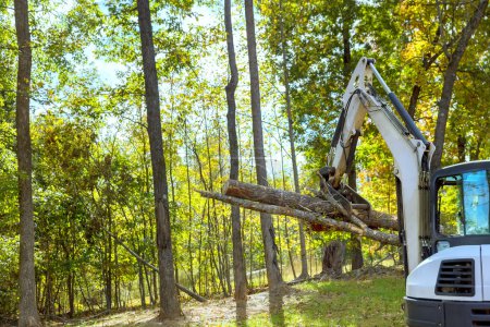 Téléchargez les photos : Pendant les travaux d'aménagement paysager : tracteur dérapeuse efface les arbres pendant la construction pour le complexe d'habitation - en image libre de droit