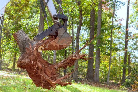 Téléchargez les photos : Tracteur Skid Steer nettoie les terres en enlevant les racines pour une construction complexe de logements - en image libre de droit