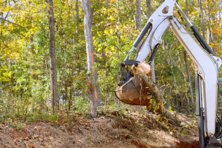 Téléchargez les photos : Tracteur Skid Steer enlève les arbres pour la construction de logements complexes dans le projet d'aménagement paysager - en image libre de droit