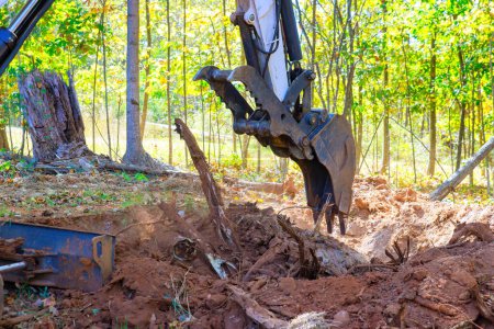 Photo for Using excavator, worker uproots trees in preparation for construction of new building - Royalty Free Image