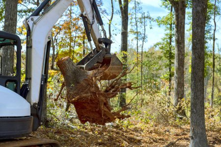 Téléchargez les photos : Skid steer enlever les racines défrichement des terres pour le logement d'un site de construction complexe - en image libre de droit