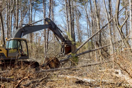 Téléchargez les photos : À l'aide d'une pelle rétrocaveuse, les travailleurs déracinent les arbres de la forêt, préparant le terrain à construire - en image libre de droit