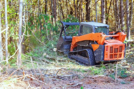 Foto de El mulcher forestal de propósito general rastreado fue utilizado por el contratista para limpiar bosques - Imagen libre de derechos