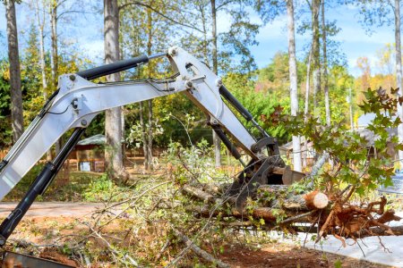 Foto de Skid steer tractor ayuda en la limpieza de árboles para la construcción de complejos de viviendas durante el paisajismo - Imagen libre de derechos