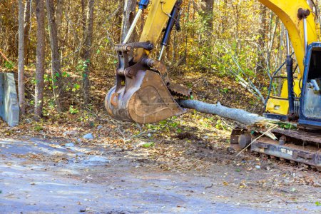 Photo for Contractor uproots trees with tractor in forest at preparation for construction of new building - Royalty Free Image