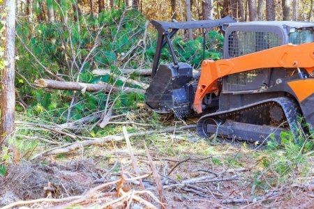 Foto de Con el fin de limpiar el contratista forestal utilizado con orugas mulcher forestal de propósito general - Imagen libre de derechos
