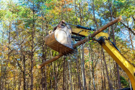 Téléchargez les photos : Les arbres sont déracinés par le constructeur à l'aide d'un tracteur pour préparer le terrain à la construction en forêt - en image libre de droit