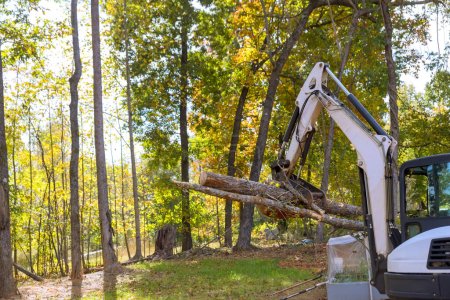 Téléchargez les photos : Construction de complexes résidentiels : arbres défrichés par tracteur à glissière dans les travaux d'aménagement paysager - en image libre de droit