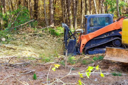 Während sauberen Wald Auftragnehmer verwendet Kettenfahrzeuge mit Forstmulchgeräten ausgestattet
