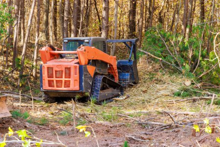 Contratista utiliza vehículos de propósito general de seguimiento mulcher forestal que limpia el suelo en el bosque