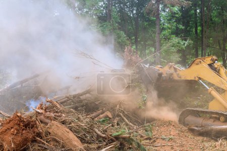 Photo for Fire caused by uprooted trees that were felled during preparation land for construction of house - Royalty Free Image