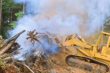 Téléchargez les photos : La forêt a été brûlée pendant la préparation du terrain pour la construction de la maison en raison des arbres déracinés tombés - en image libre de droit